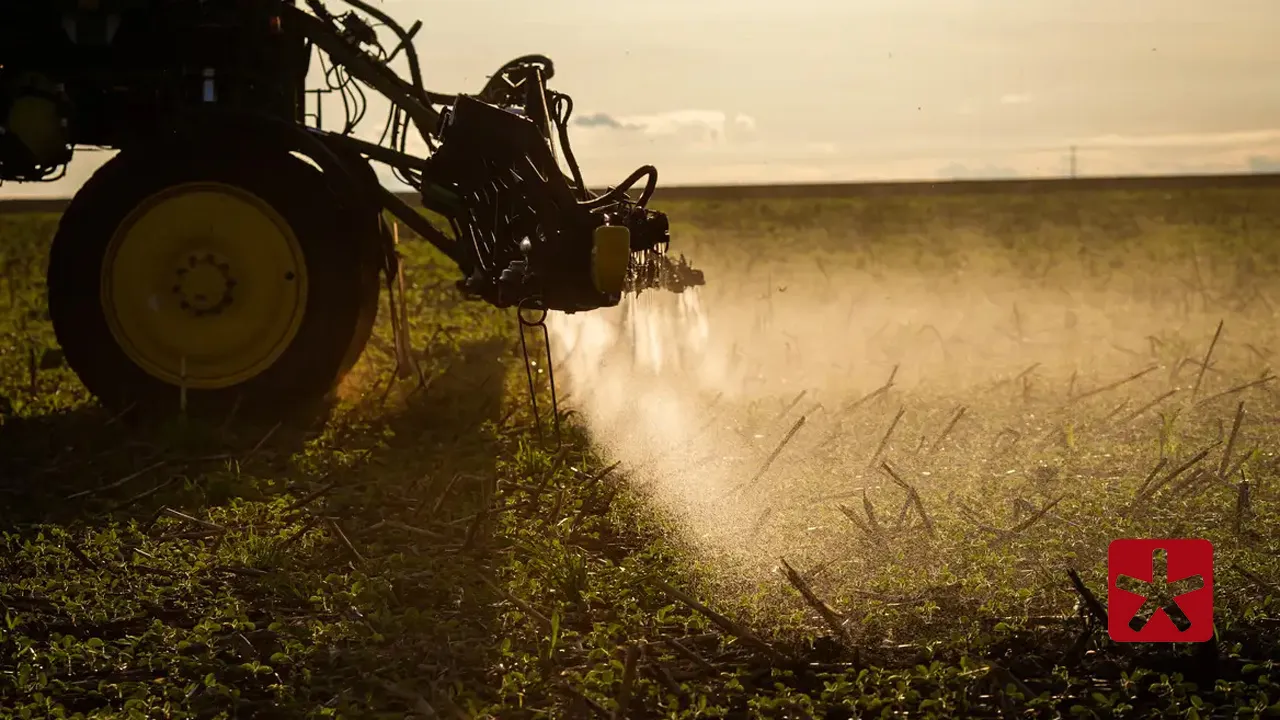 Economia brasileira cresce 1,6% no primeiro trimestre de 2025