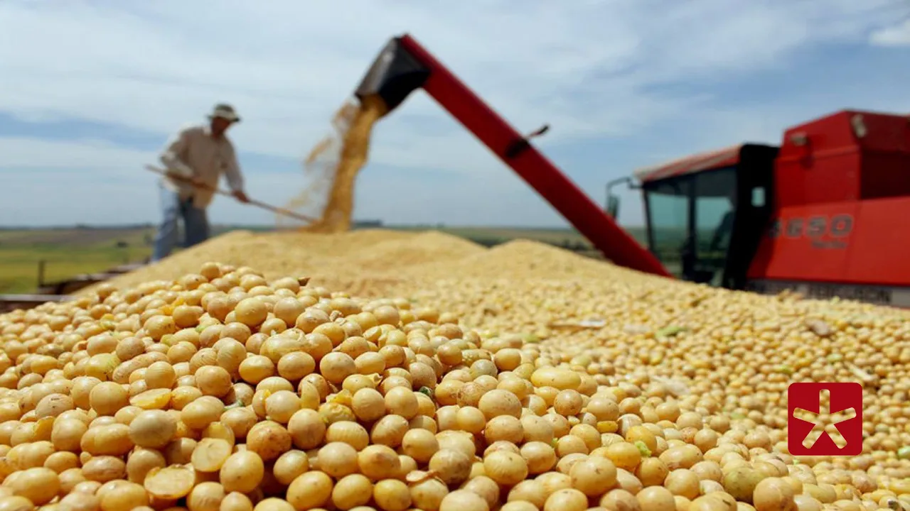 Empresa japonesa investe R$ 140 milhões em unidade para armazenar semente de soja em Patos de Minas