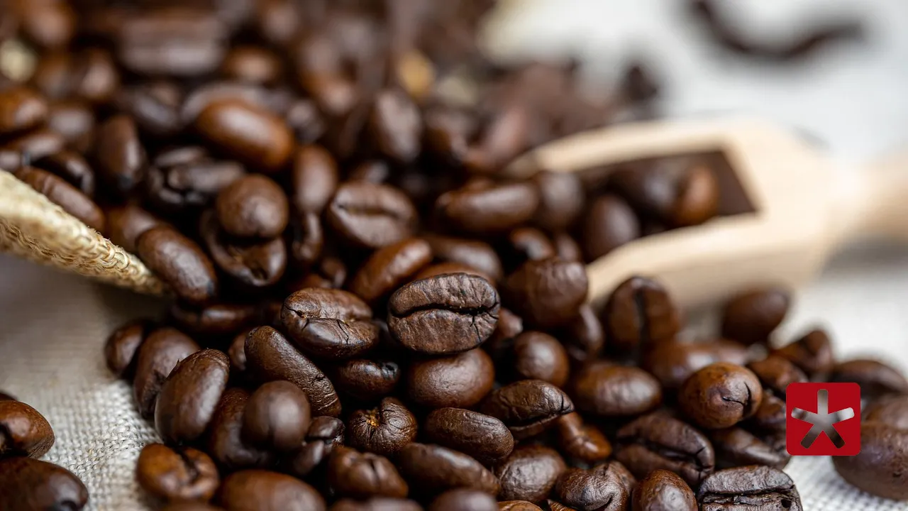 Preço do café cai pela primeira vez após 18 meses, aponta IBGE