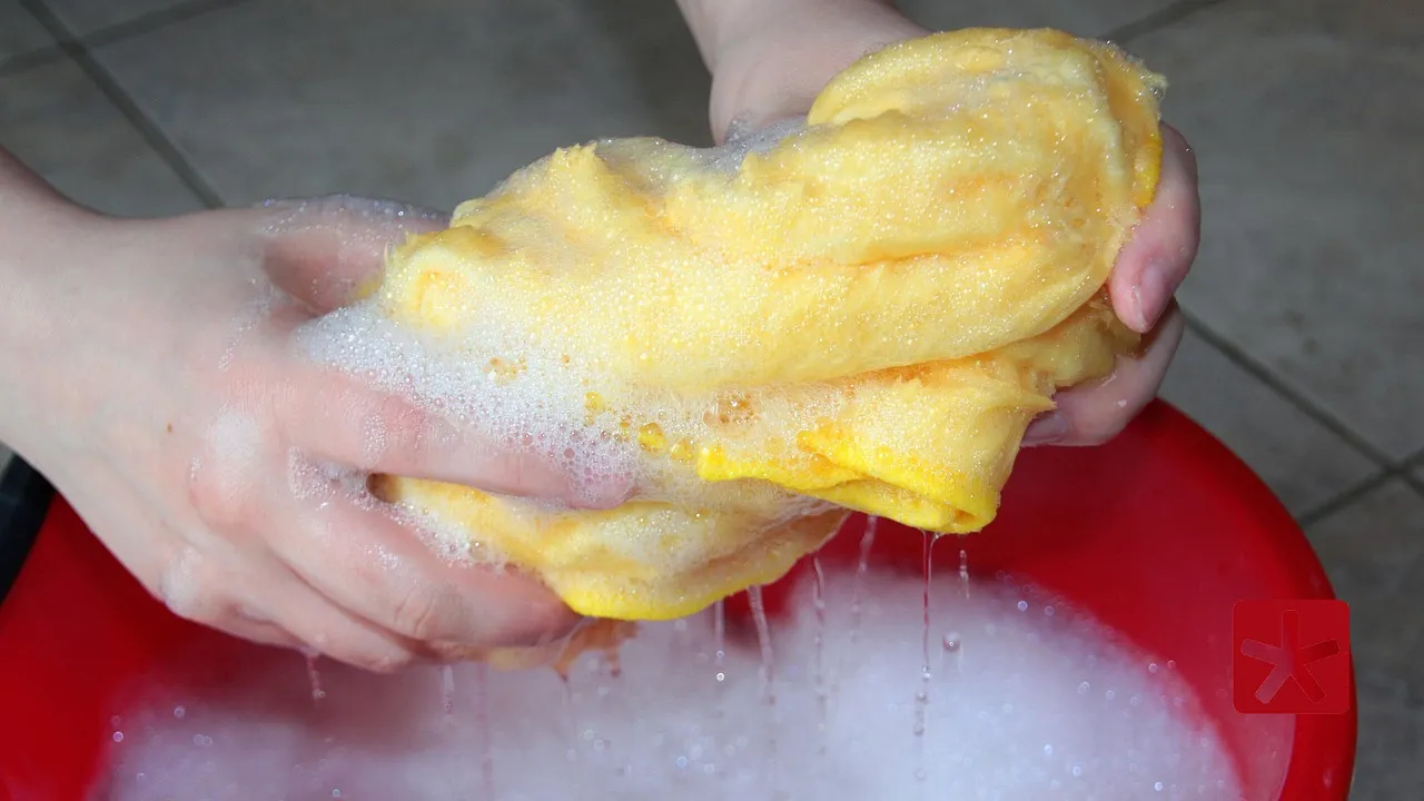 Mais de 80 mil empregados devem regularizar FGTS de  domésticos; saiba mais 