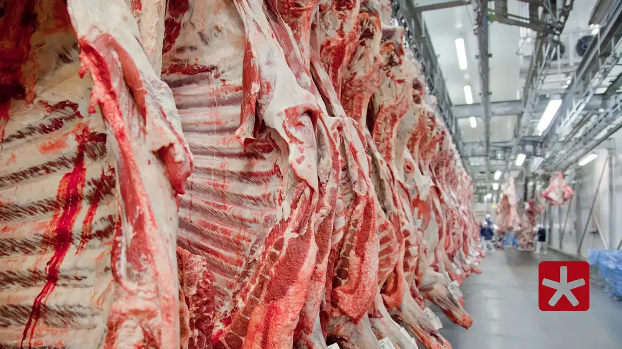 Exportações de carne bovina brasileira batem recorde com alta de 25% no volume embarcado