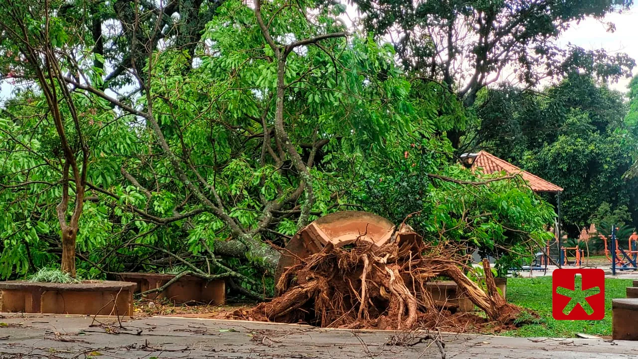 Temporal causa estragos na tarde desta quarta-feira (31), em Carmo do Paranaíba