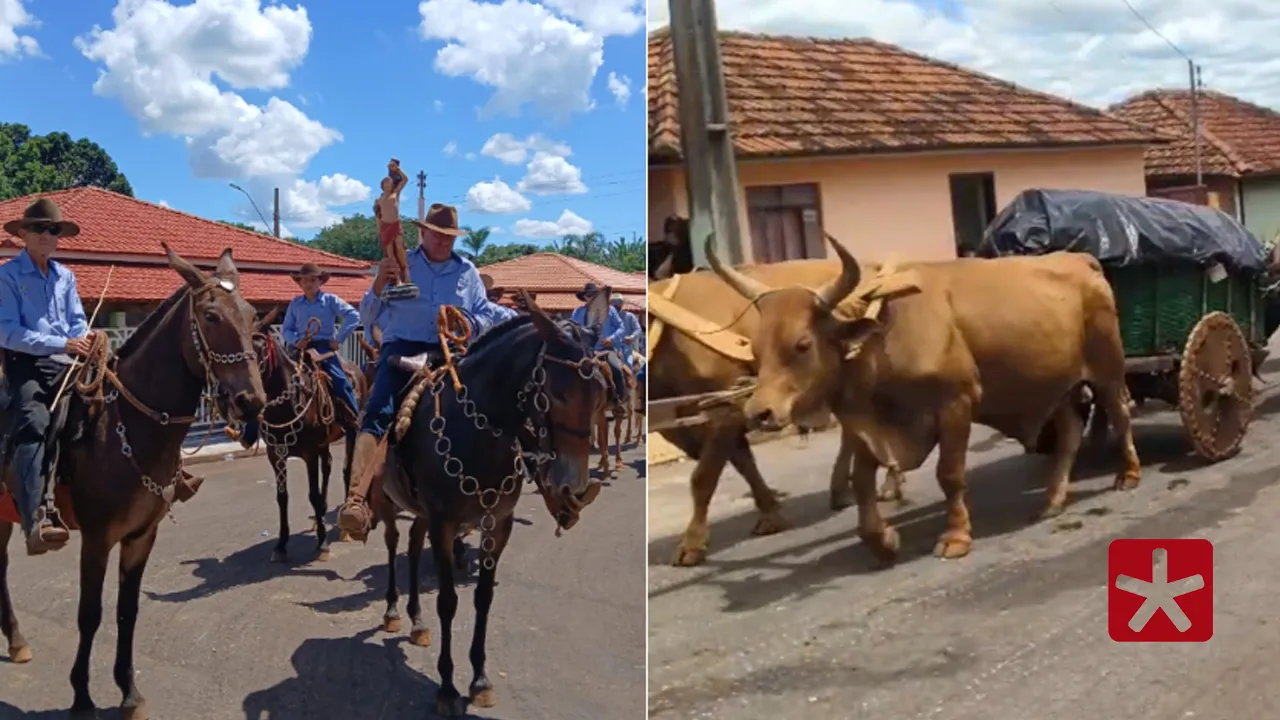 Tradição: mais de 60 carros de bois participam de festa em Monjolinho de Minas