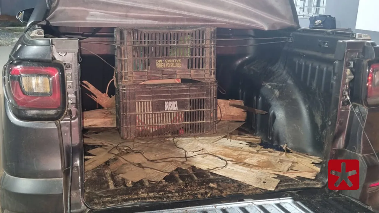 Polícia Militar Rodoviária prende homem com veículo furtado, droga, e aves silvestres na MGC-354