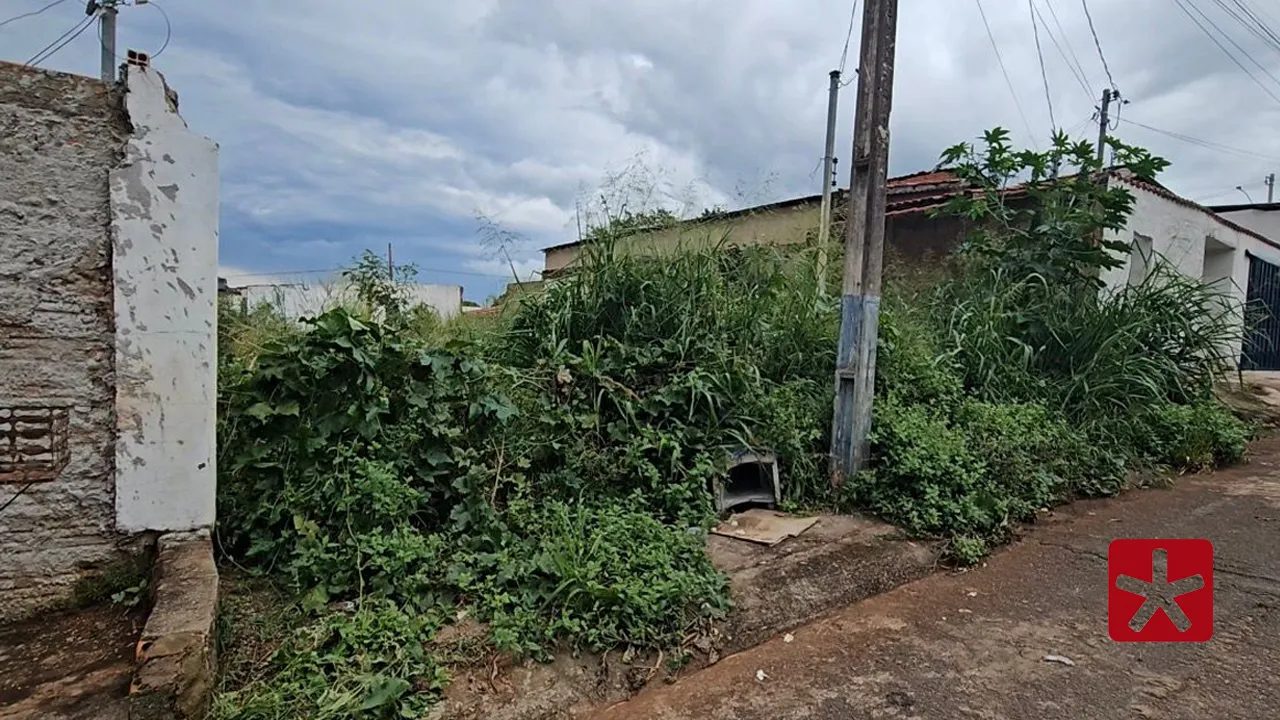 Moradores denunciam lote com mato alto e animais peçonhentos no bairro Jardim Esperança