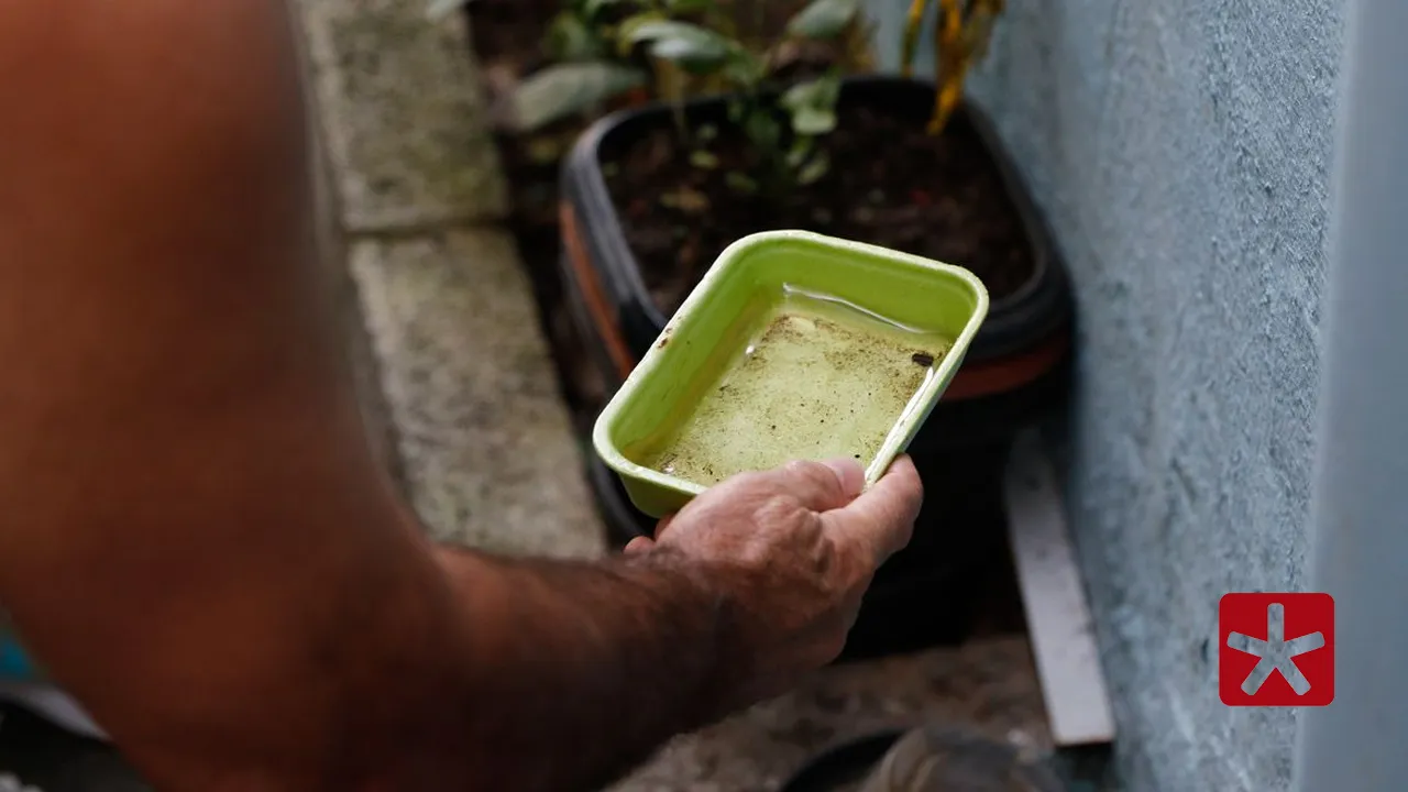 Permetrina: confira a nova estratégia de combate contra o mosquito Aedes aegypti