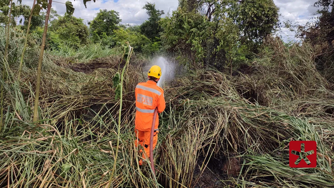 Corpo de Bombeiros combate incêndio na Mata do Catingueiro, em Patos de Minas