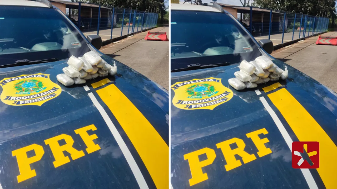 Mulher é presa após transportar 15 tabletes de haxixe na BR-365, em Patos de Minas