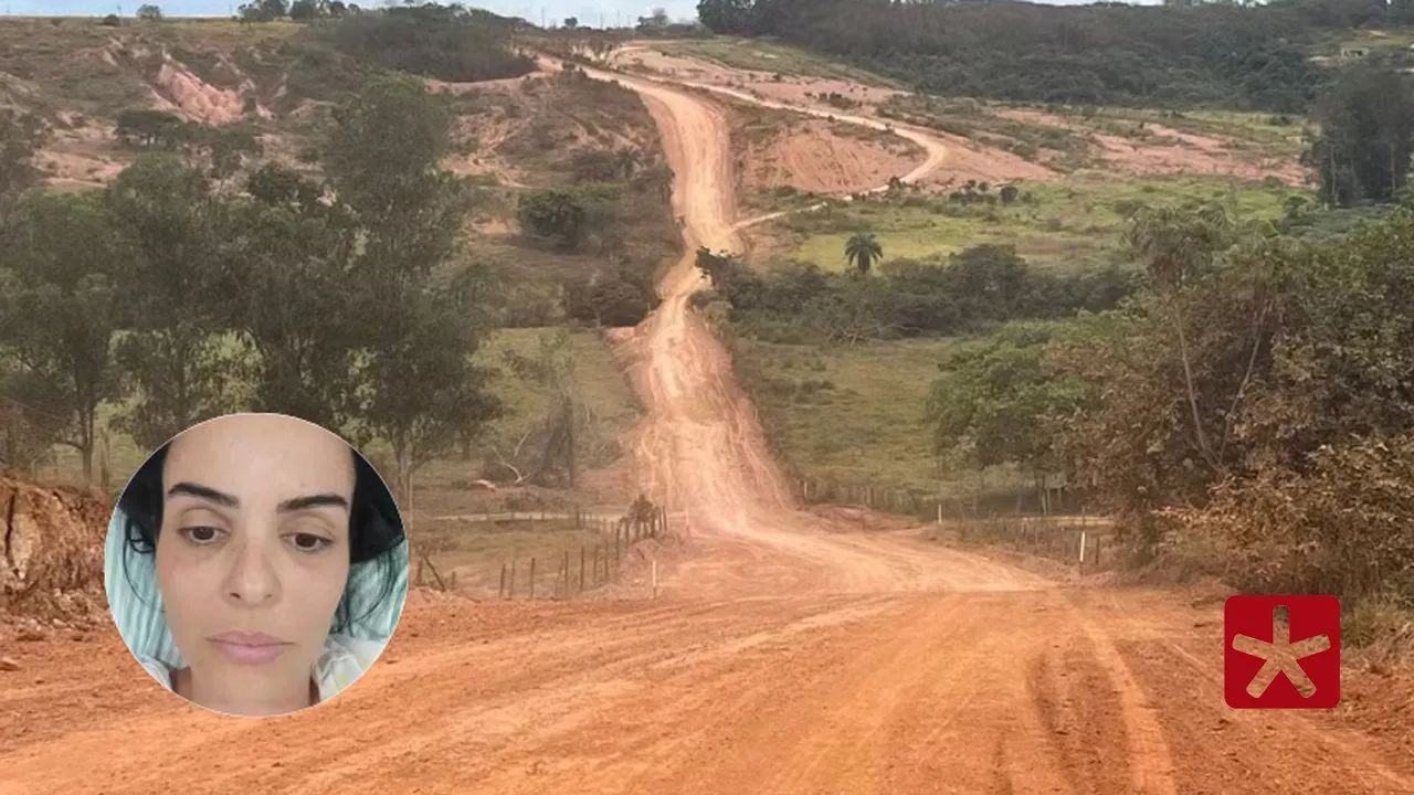 Trabalhadora picada mais de 300 vezes por abelhas-europeias sobrevive em Lagoa Formosa 
