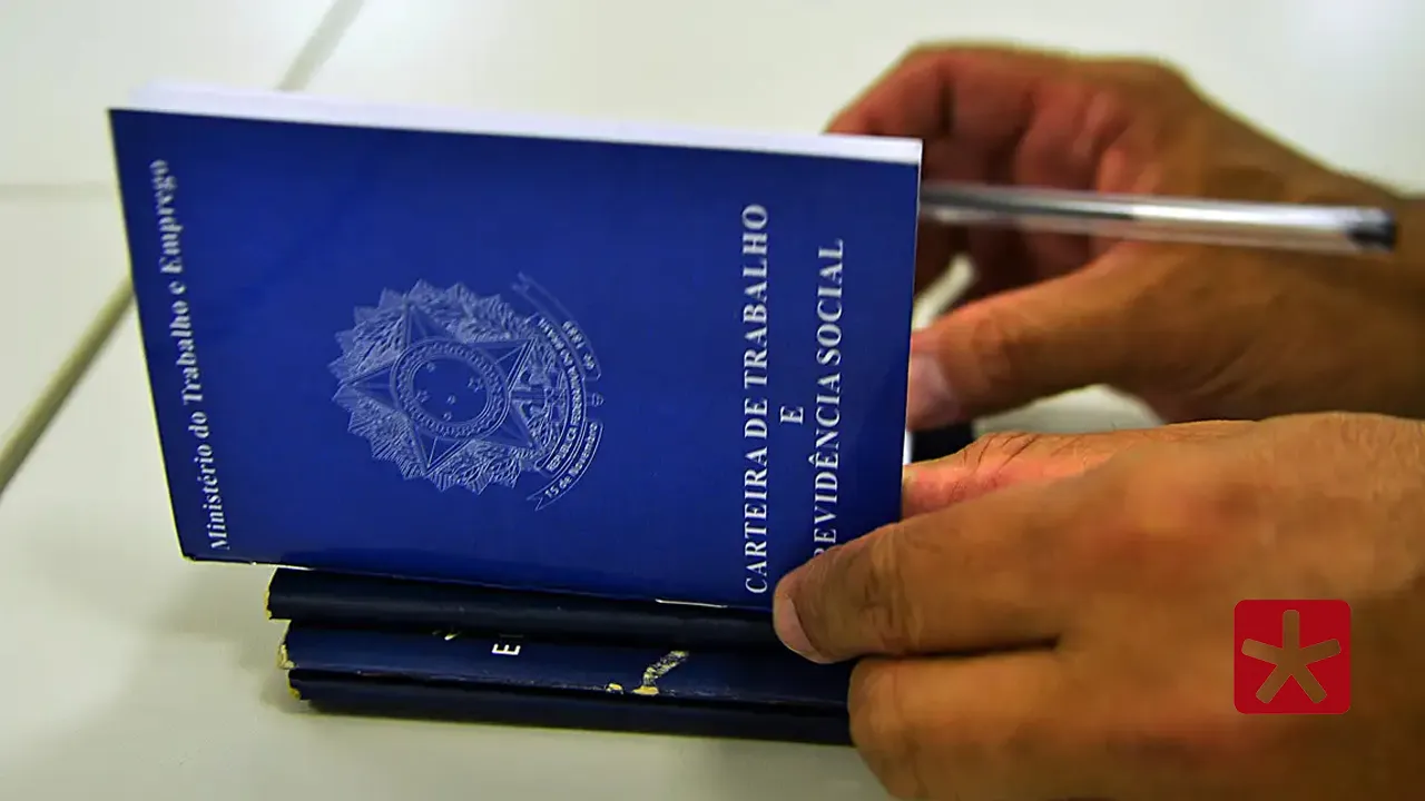 Pesquisa: emprego com carteira assinada segue como preferência entre brasileiros