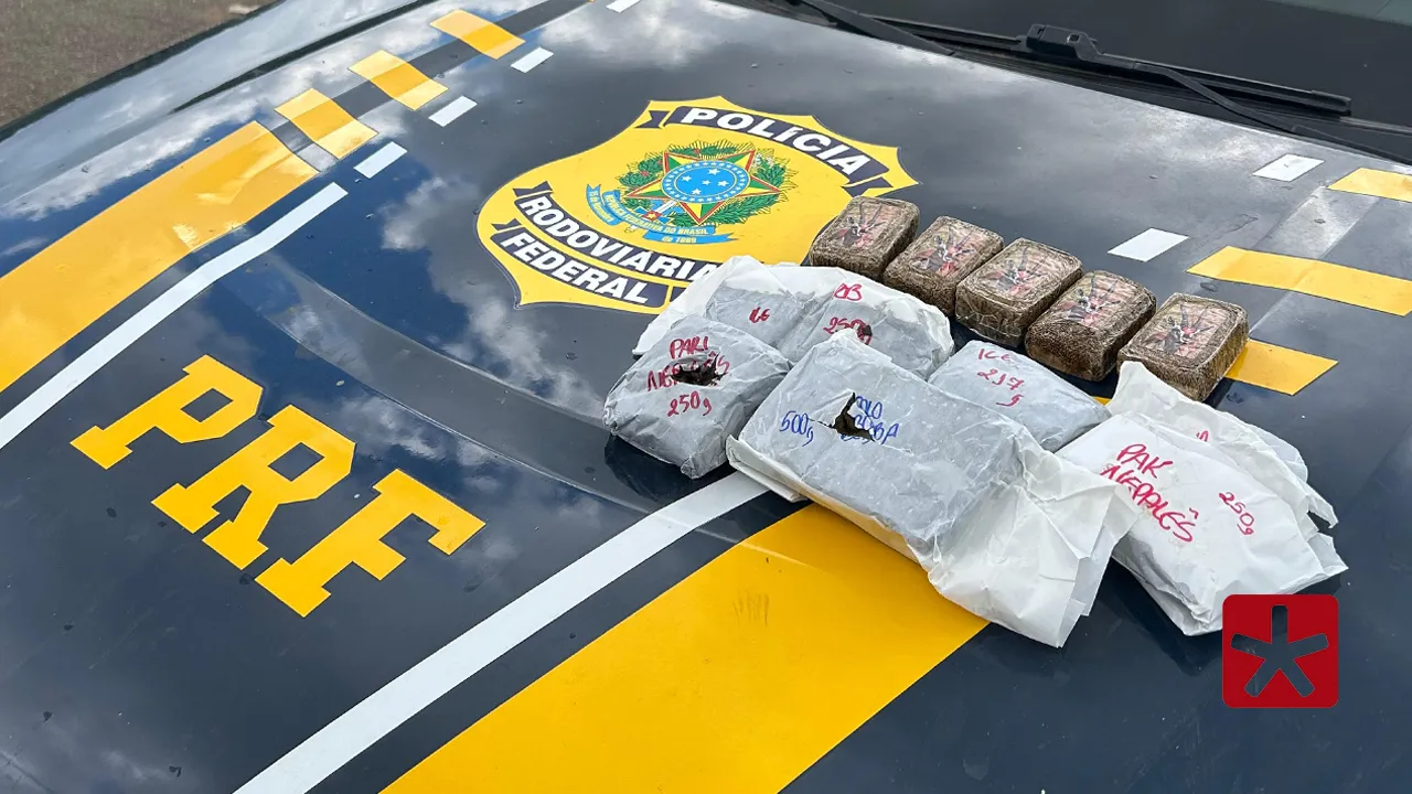 PRF de Patos de Minas faz apreensão de sacola com entorpecentes em ônibus na BR-365 